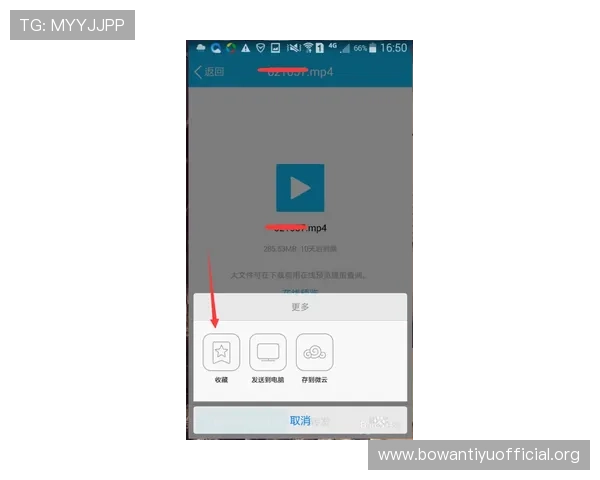 满冠手机登录界面无法加载完整解决技巧详解确保每次登录顺畅无阻